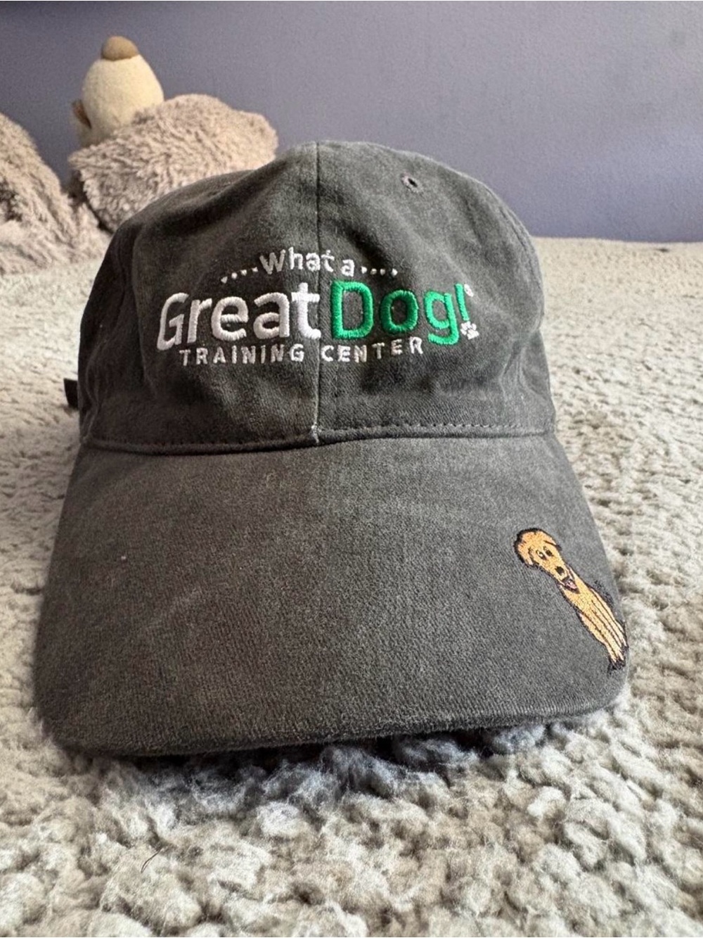Charcoal Embroidered Baseball Cap